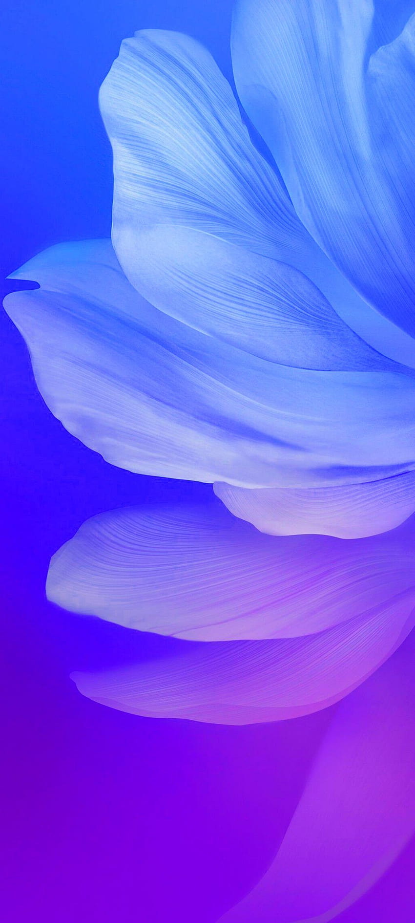 Fantastica alternativa per Samsung Galaxy S21 Ultra 5G con petali di fiori, samsung a12 Sfondo del telefono HD