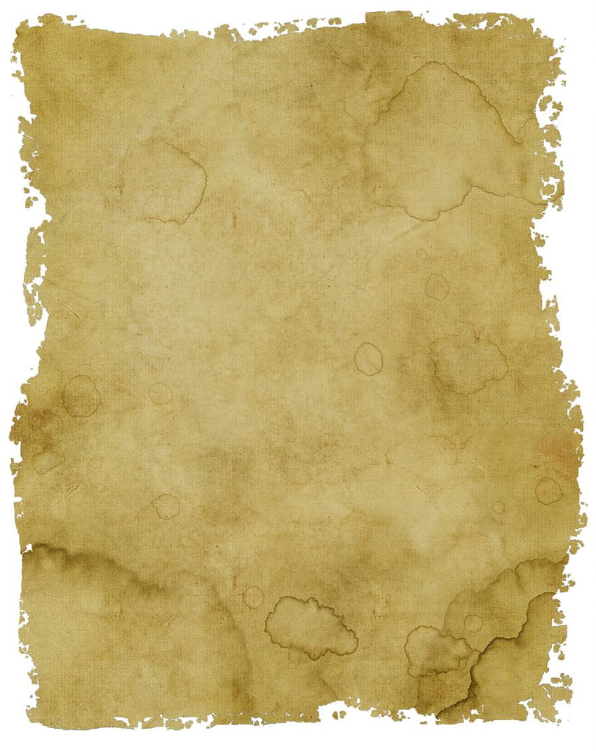 45 Parchment Paper Backgrounds and Old Paper Textures, torn paper HD phone wallpaper