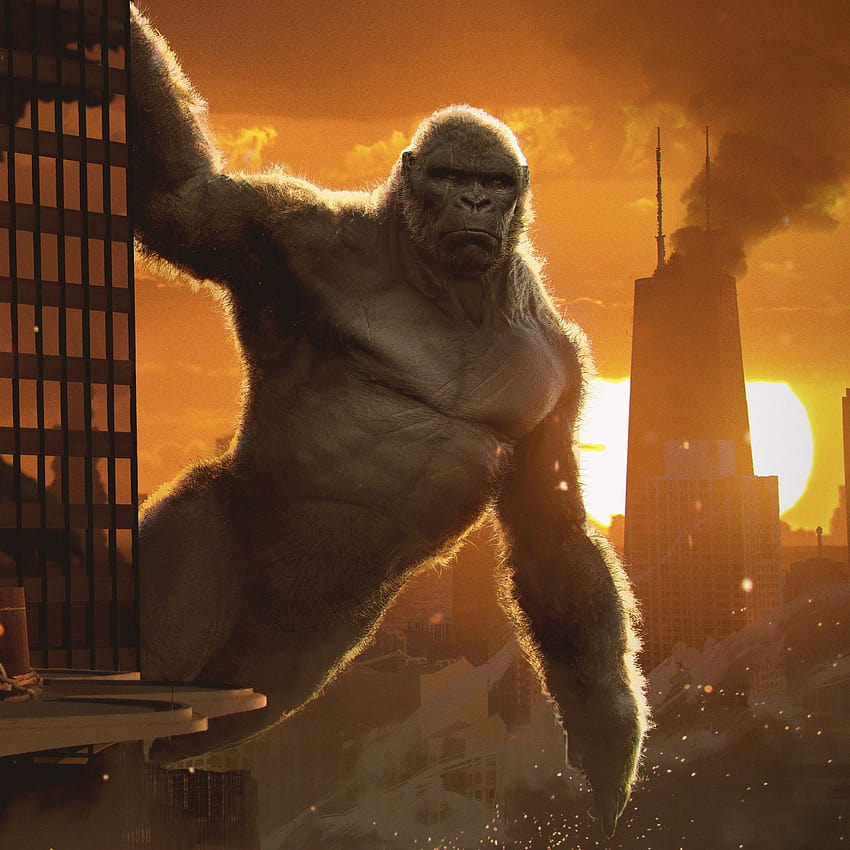 Godzilla Kong'a Karşı , King Kong, 2020 Filmleri, Filmler, Godzilla vs Kong filmi HD telefon duvar kağıdı