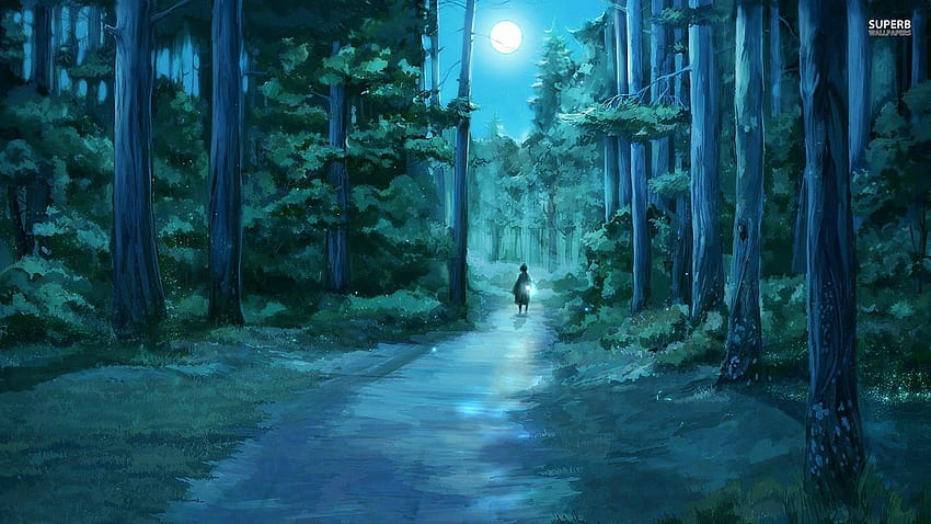 Papel de parede : floresta, noite, Anime, Meninas anime, luz