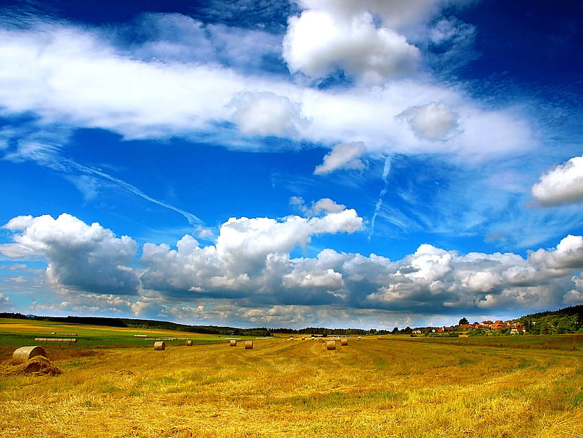 Farmland, farm land HD wallpaper