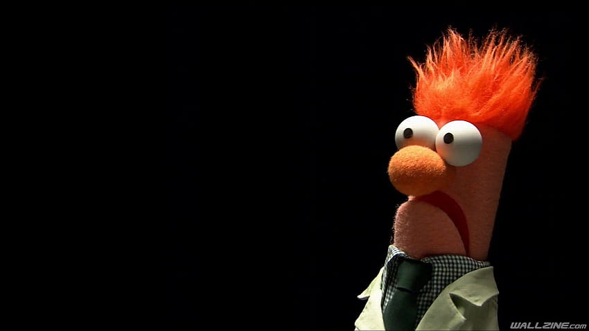 Funny Scared, muppet show HD wallpaper