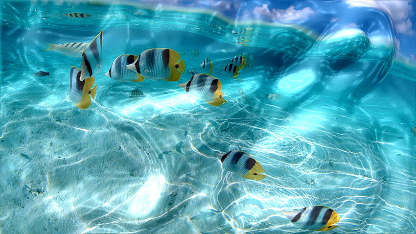 Wygaszacz ekranu Zalewa ekran efektami wodnymi Tapeta HD