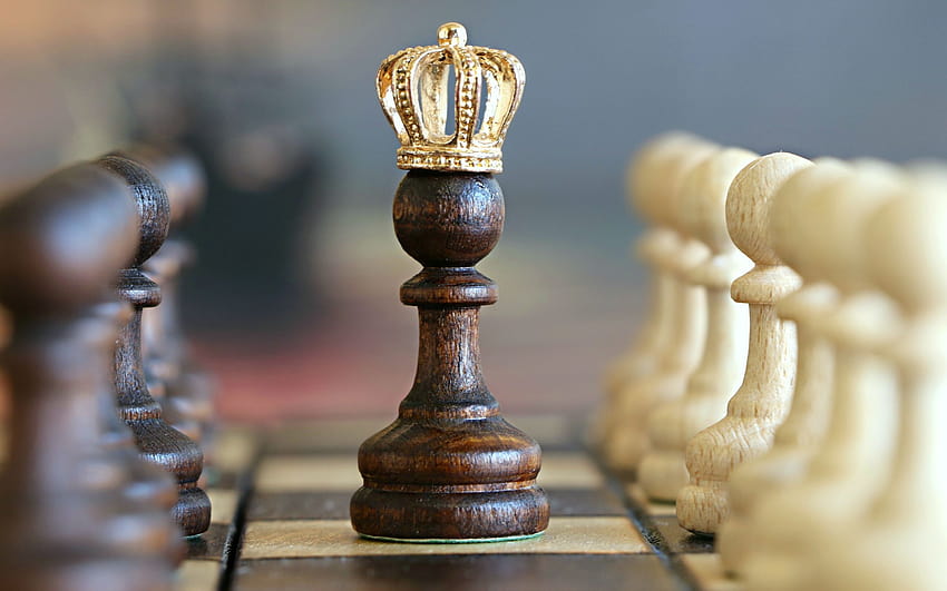 Figura de xadrez com coroa dourada 2560x1600 papel de parede HD