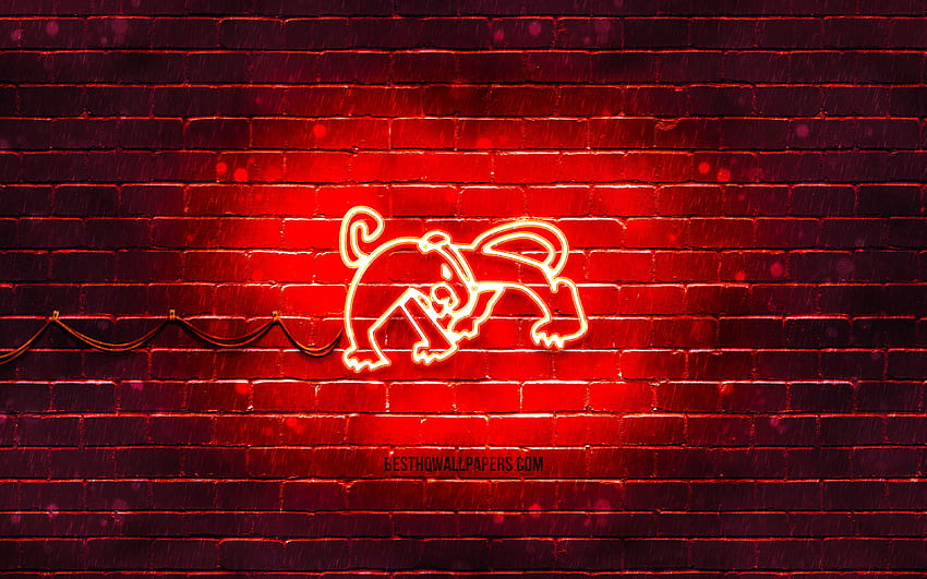 Signo de neón del tigre, zodiaco chino, pared de ladrillo rojo, zodiaco del tigre, signos de animales, calendario chino, creativo, signo del zodiaco del tigre, signos del zodiaco chino, tigre con una resolución de 3840x2400. Alta calidad fondo de pantalla