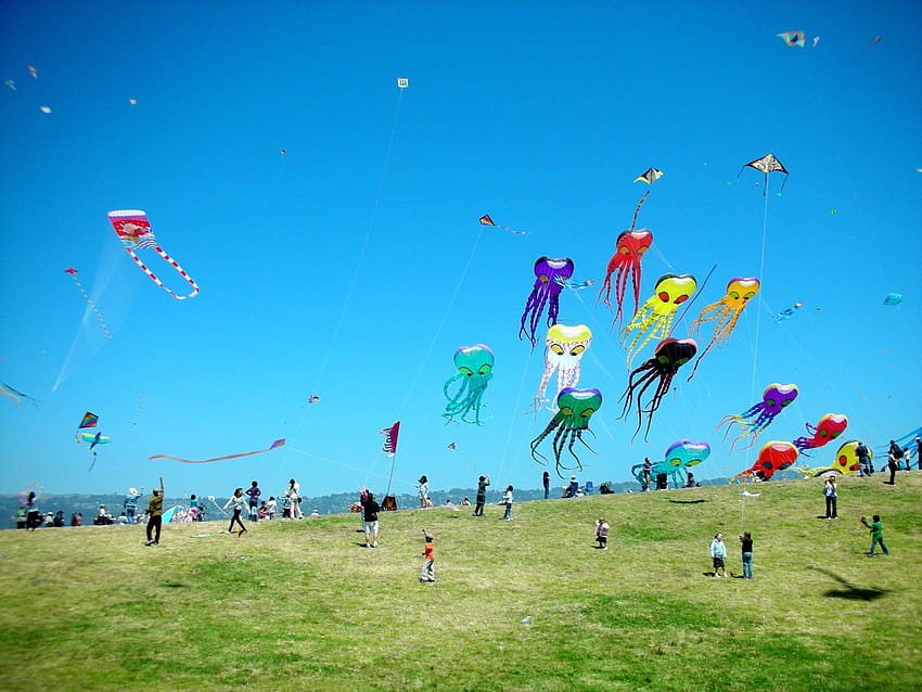 Kite flying bokeh flight fly summer hobby sport sky toy fun HD wallpaper