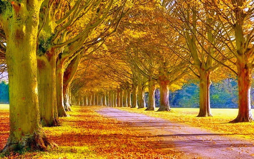 Fall Backgrounds Abyss With Roud Colourfully Full Pics, pagalworld HD wallpaper
