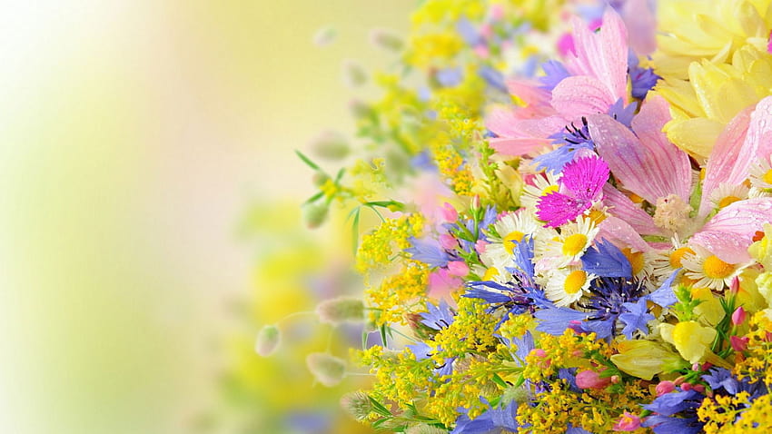 Flower , Plant, Spring, Flowers, Blossom, Floral, Garden, Leaf • For You, pastel spring flowers HD wallpaper