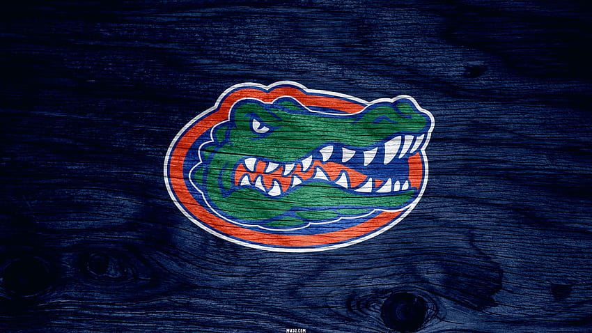 Screensaver Florida Gator dan, florida gators Wallpaper HD