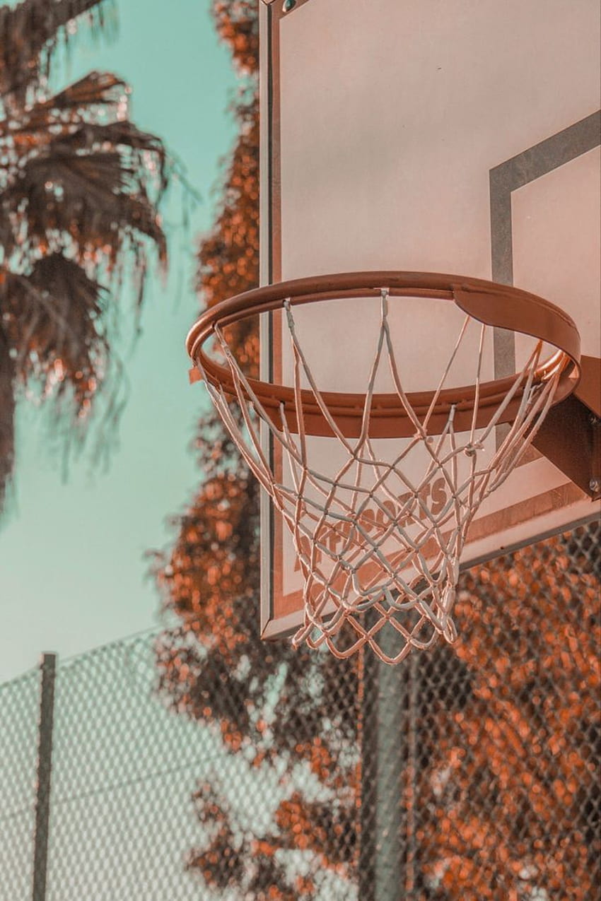 Basketball Net Aesthetic California Tones, lindo baloncesto fondo de pantalla del teléfono