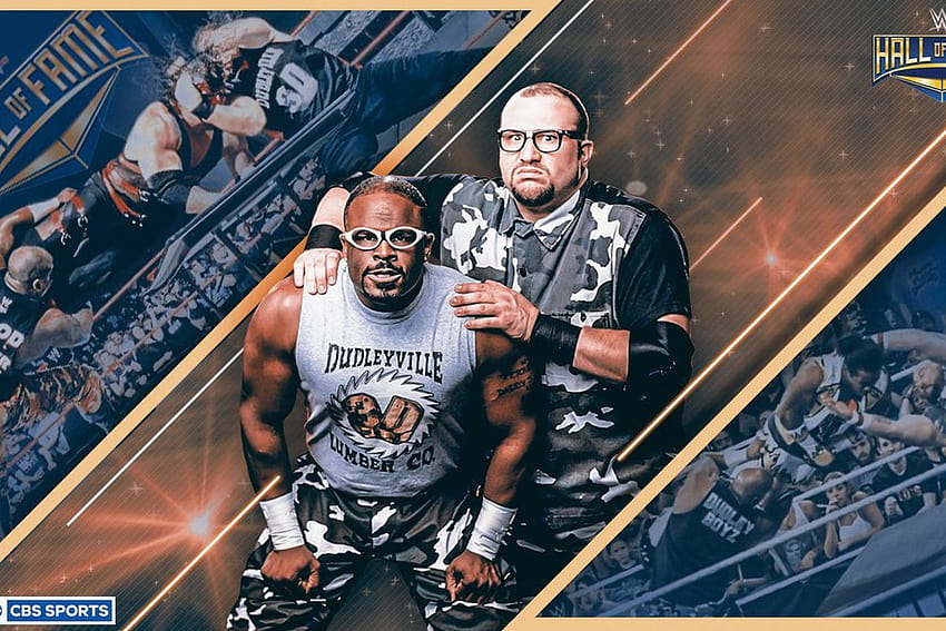 WWE Hall of Fame ...cagesideseats, the dudley boyz HD wallpaper