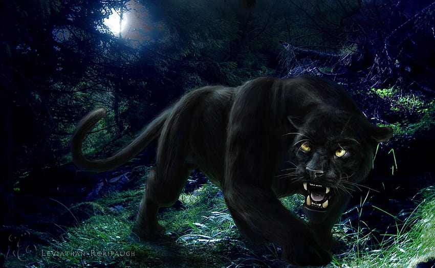 High Resolution Black Panther HD wallpaper
