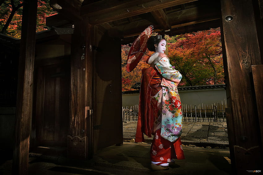 : Japonia, świątynia, życie, kimono, Kioto, gejsza, jesień, dziewczyna, kobieta, maiko, ciemność, kostium, tradycja 2400x1602 Tapeta HD