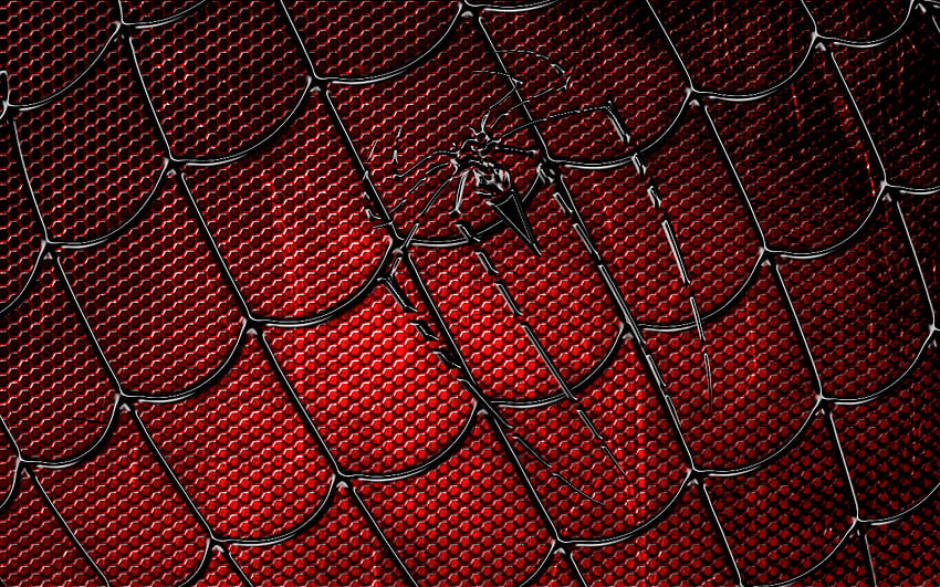 Fakta, Hal Lucu tentang Hewan & Alam Spiderman Web, jaring manusia laba-laba Wallpaper HD