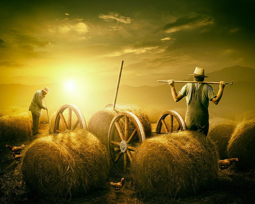 Indian Farmer HD wallpaper