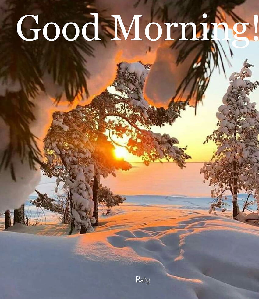 Good Morning!, winter season good morning HD phone wallpaper | Pxfuel