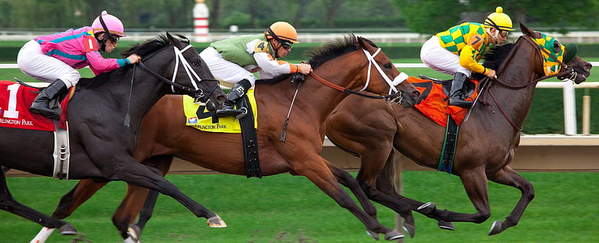 HORSE RACING Rennen Pferdesport Jockeypferde, Rennpferde HD-Hintergrundbild