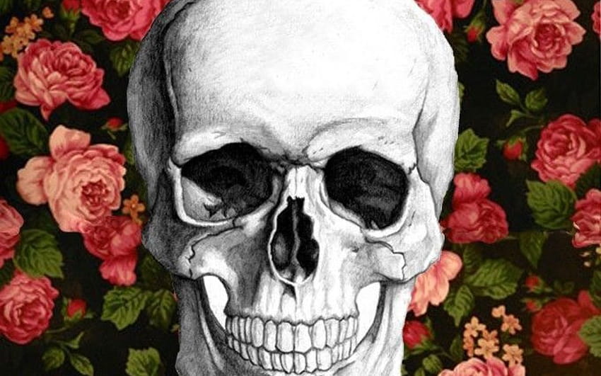 Skull Flowers Pinterest Art Illustrations, floral skull HD wallpaper
