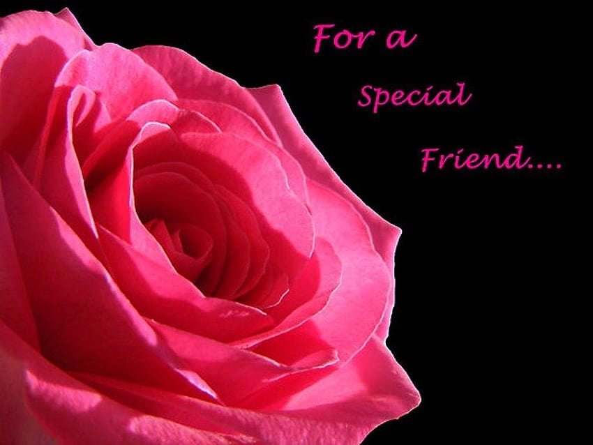 Flowers Special Friend Fran Gratitude Friendship Thank Rose Friends, of 4 friends HD wallpaper