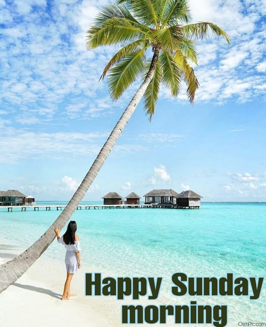 Top 55 Good Morning Happy Sunday For Whatsapp, summer good morning ...