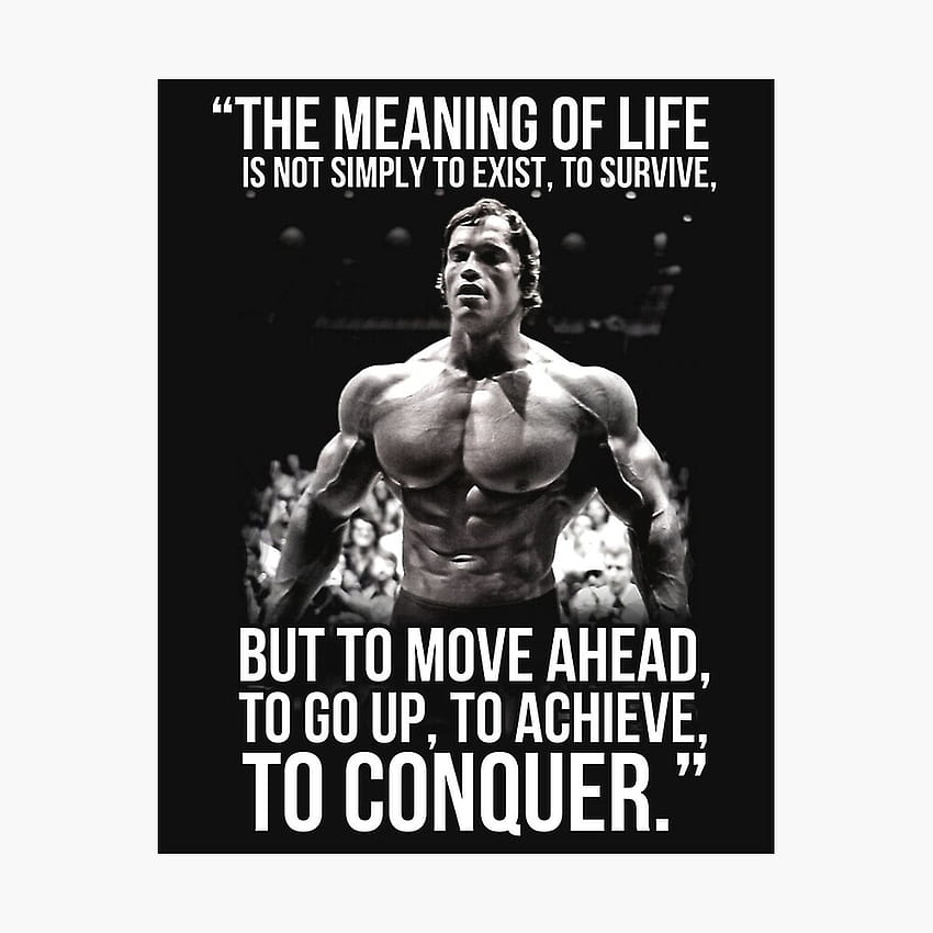 The meaning of life, arnold schwarzenegger quotes HD phone wallpaper