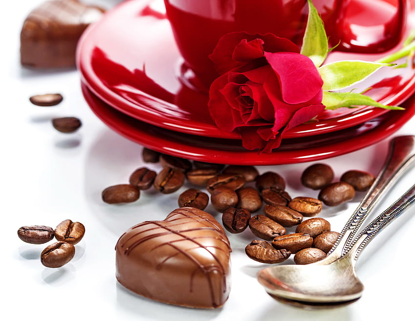 róża, kwiaty, kawa, czerwony, miłość, romans, życie, dla, kawa z różą Tapeta HD