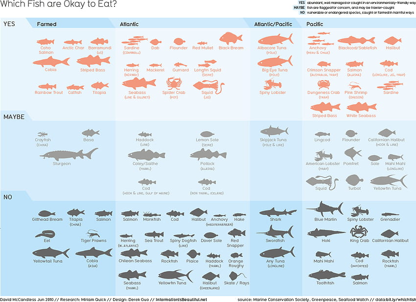 which-fish-are-okay-to-eat-basa-fish-hd-wallpaper-pxfuel