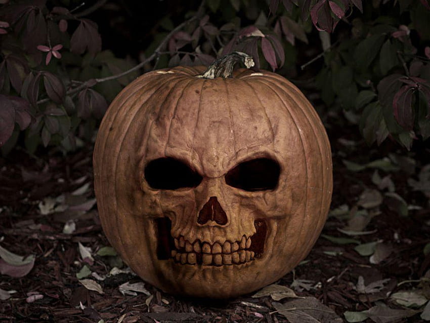Evil+Jack+O+Lantern, faccia da zucca di Halloween Sfondo HD