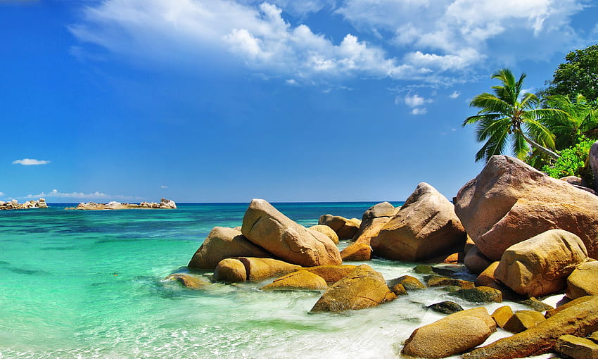 6 Ocean Paradise, tropik sahil cenneti HD duvar kağıdı
