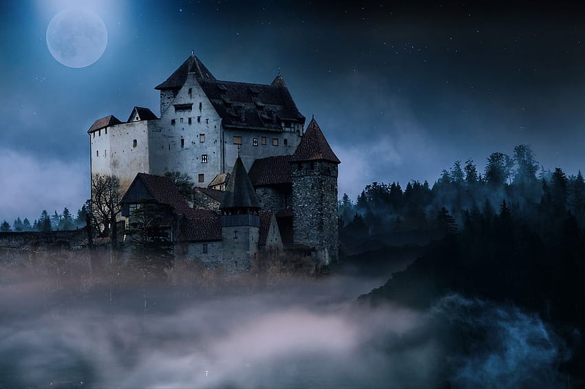 auf Pixabay, Schlossnacht HD-Hintergrundbild