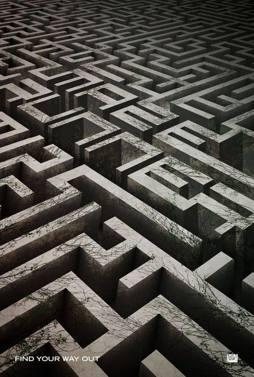 The Maze Runner – HD電話の壁紙