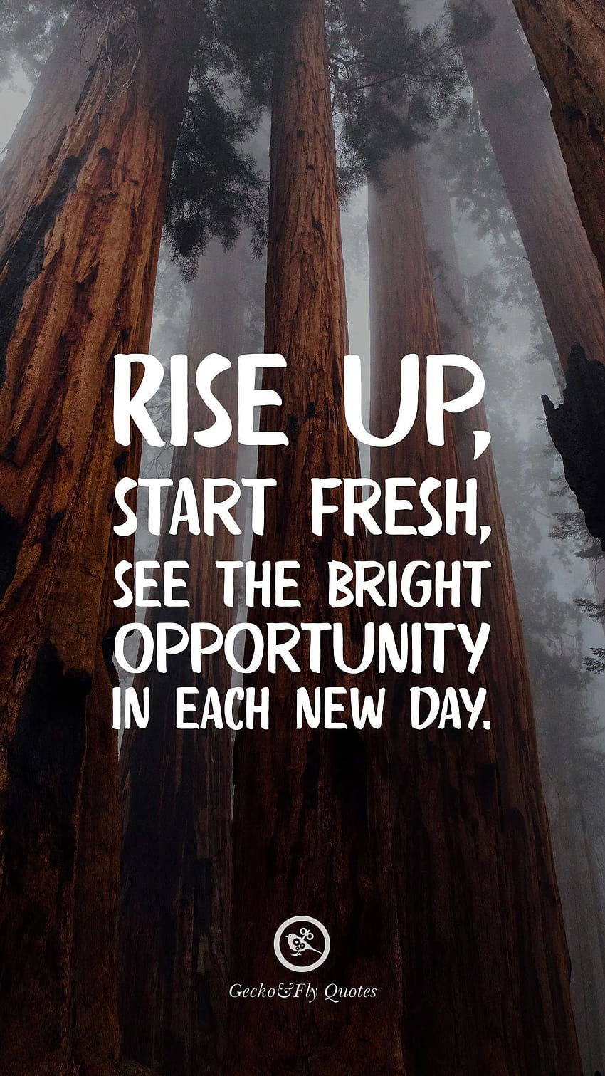 Wstań, zacznij od nowa, dostrzegaj świetlaną okazję w każdym nowym dniu. Tapeta na telefon HD