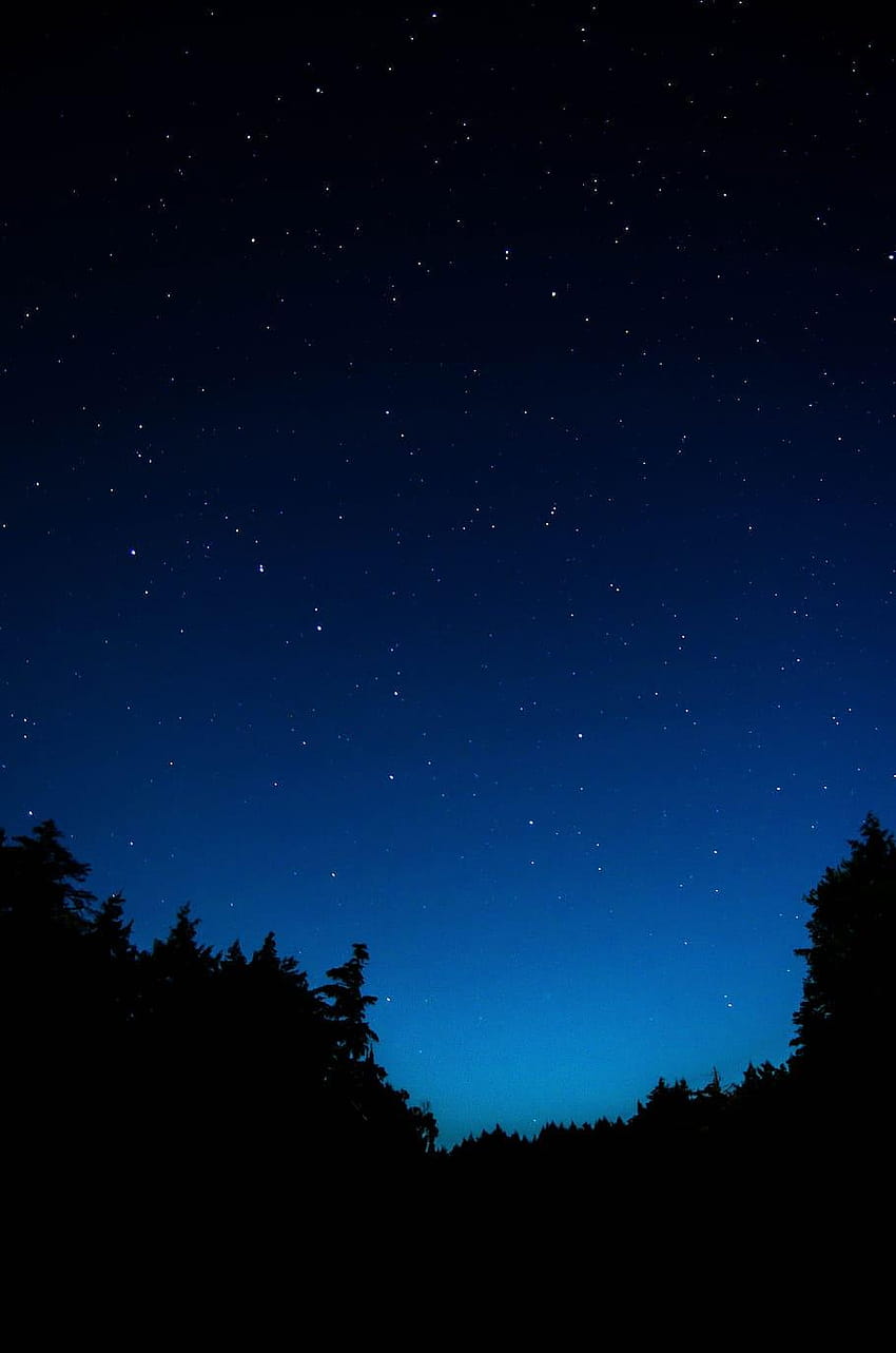 sky at night, tree, sky, nature, star, silhouette, blue, minimal starry HD phone wallpaper