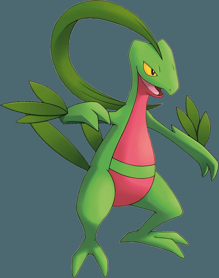 Favorite grass pokemon starter!!!, grovyle HD phone wallpaper | Pxfuel