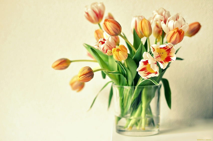 vaso, tulipas, laranja, flores, buquê / e fundos móveis, buquê de tulipas laranja papel de parede HD