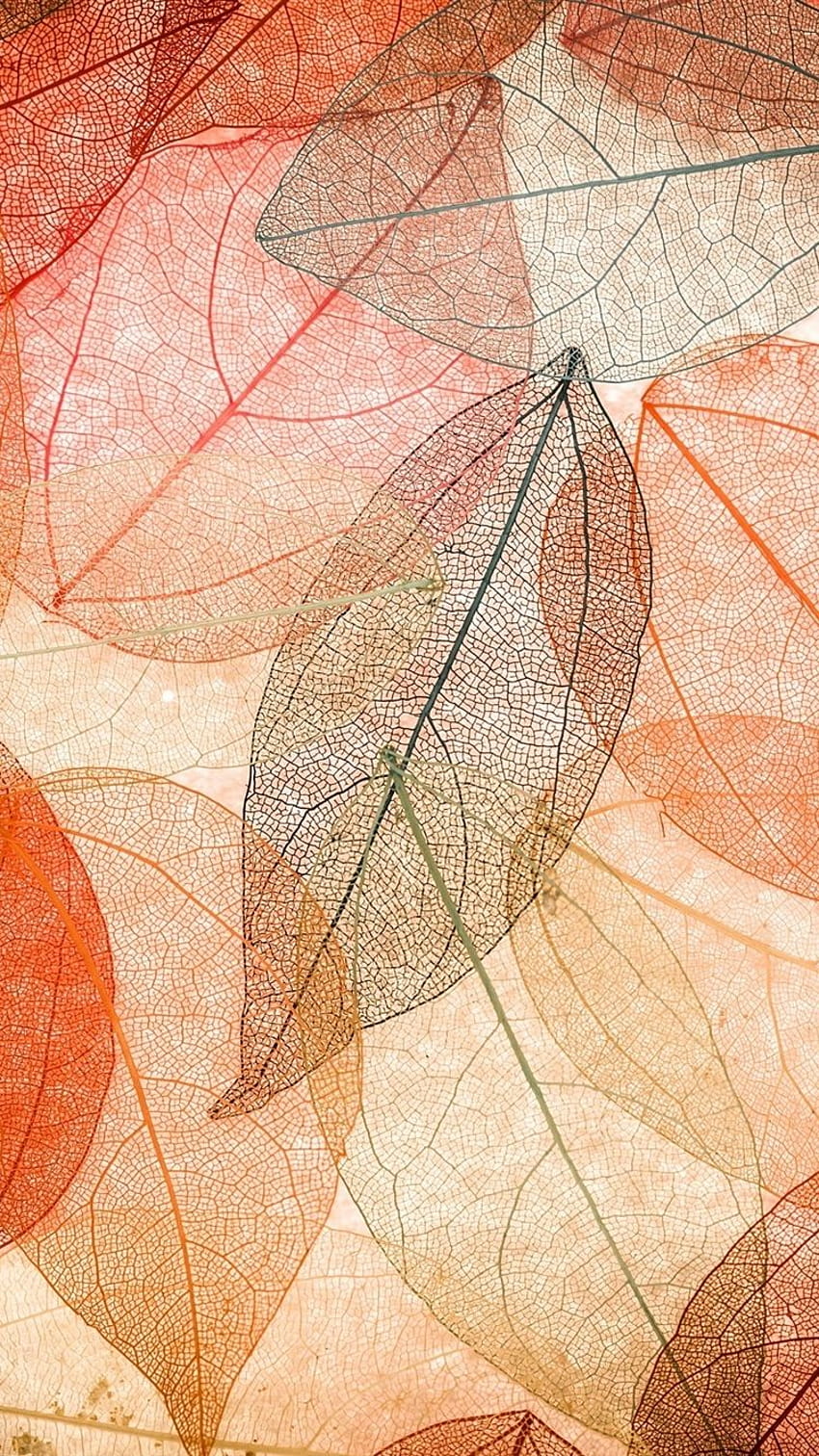 Iphone jesień, przezroczyste liście, abstrakt, abstrakcyjna jesień Tapeta na telefon HD