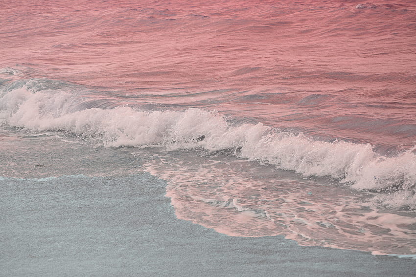 Pink Beach, estetyczny różowy laptop Tapeta HD