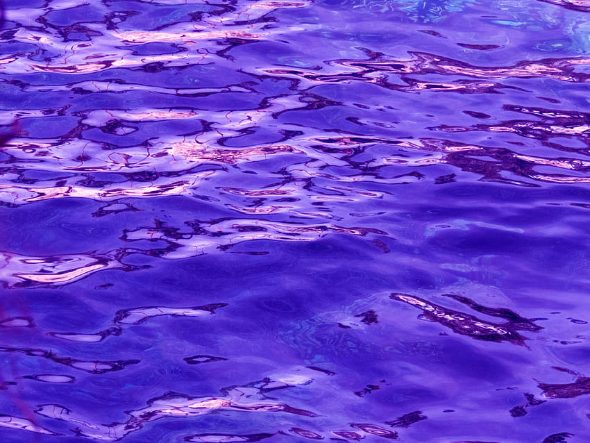 Purple Water on Dog, neon water HD wallpaper