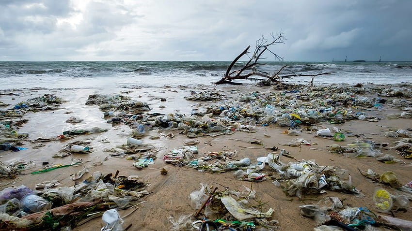 Koka, zanieczyszczenie oceanu Tapeta HD