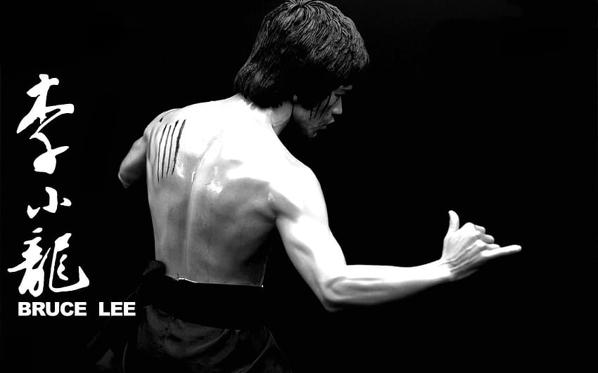 Bruce Lee In Chinese Writing HD wallpaper