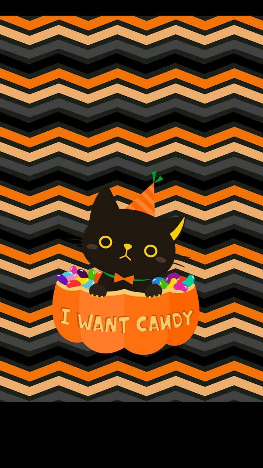 Happy Halloween wallpaper with black cat witch broom  vector image