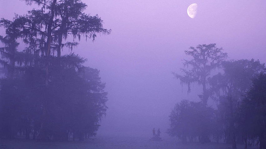Bayou 태그 : Louisiana Hole Bayou Secret Mist Fishemen HD 월페이퍼