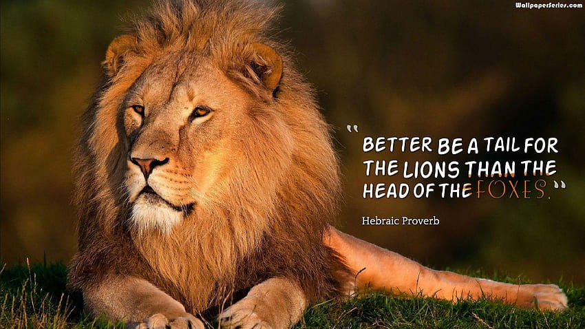 Leadership Lion Quotes 10718, kutipan binatang Wallpaper HD