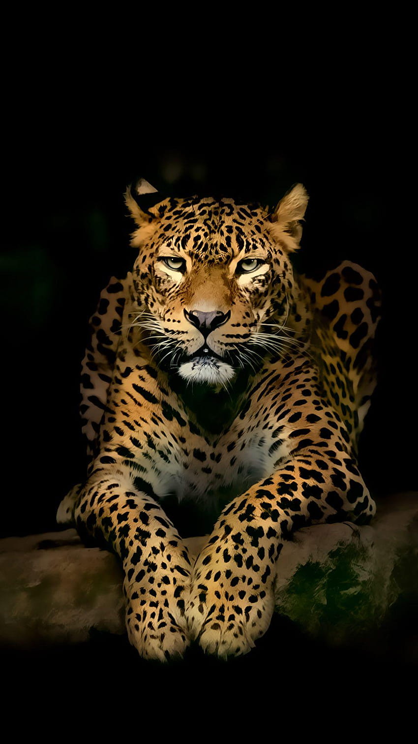 Сериозни леопардови 3D петна Илюстрация Диво животно Android, 3d леопард HD тапет за телефон