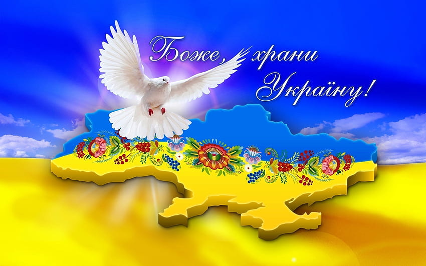 Украйна шаблони на държава надписване на думи гълъб синьо жълто [2560x1600] за вашия, мобилен телефон и таблет, мир за Украйна HD тапет