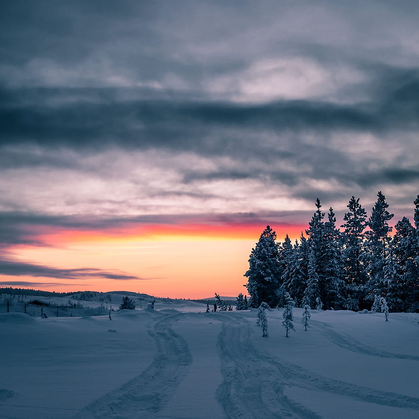 3000x3000 Sunset, Path, Field, Snow, Horizon, Trees, sunset sky clouds field trees horizon HD phone wallpaper