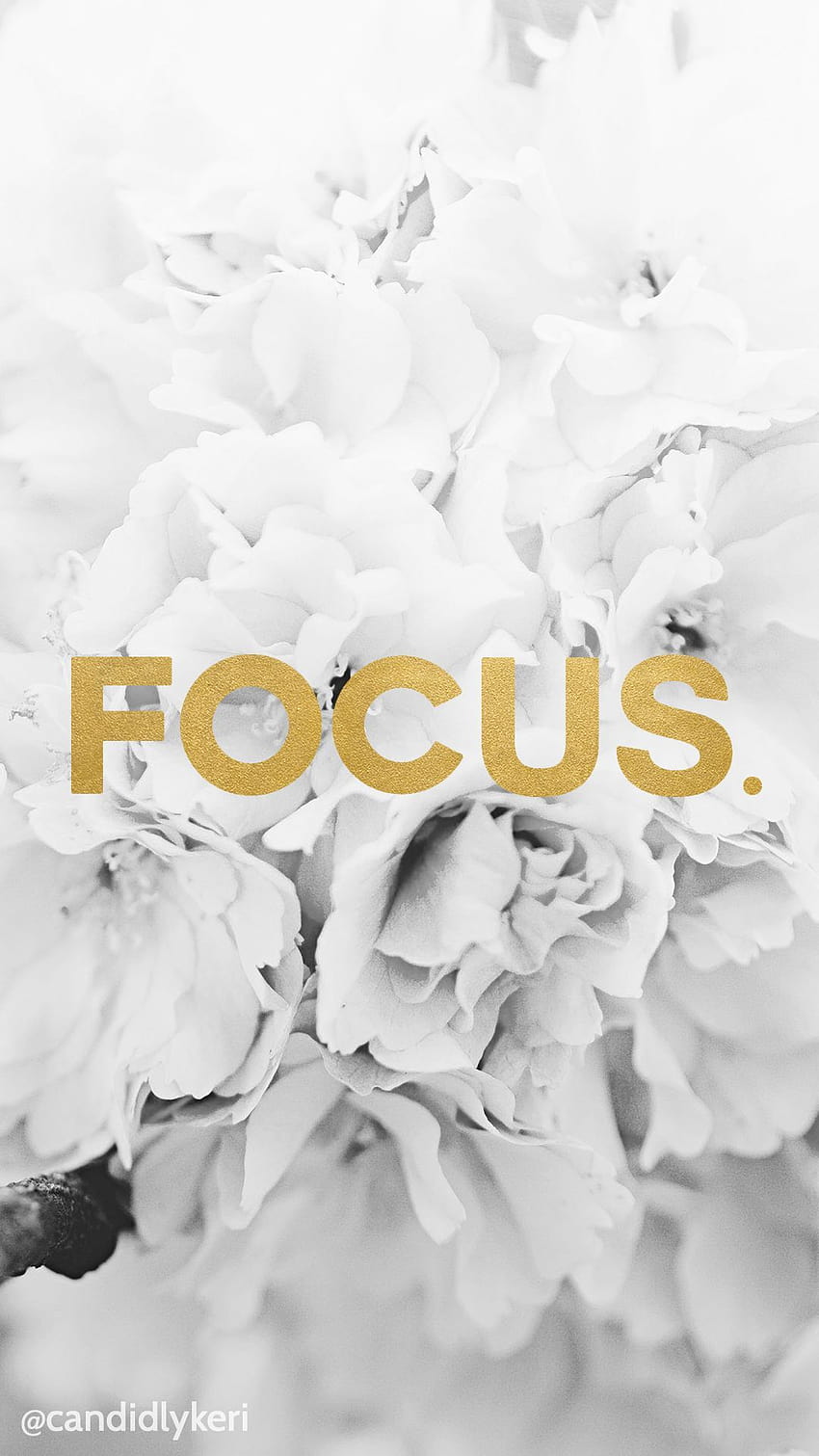 Focus gold foil with black and white flowers, focus iphone HD phone wallpaper