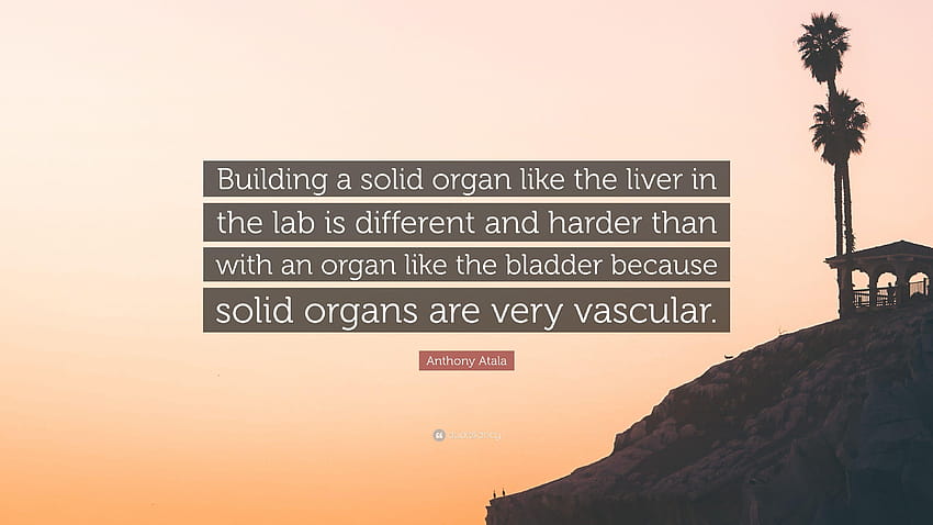 Citation d'Anthony Atala : Construire un organe solide comme le foie Fond d'écran HD