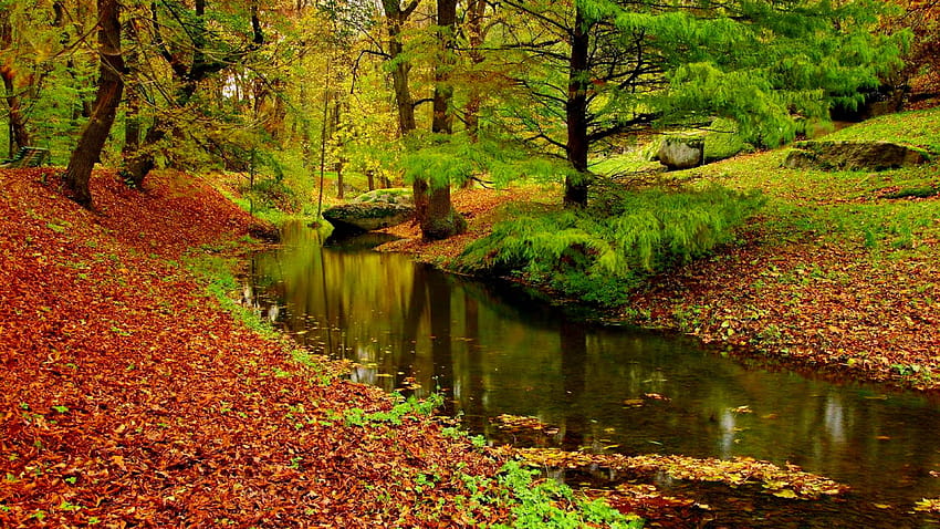 Autumn Landscape River Forest Fallen Leaves Red HD wallpaper