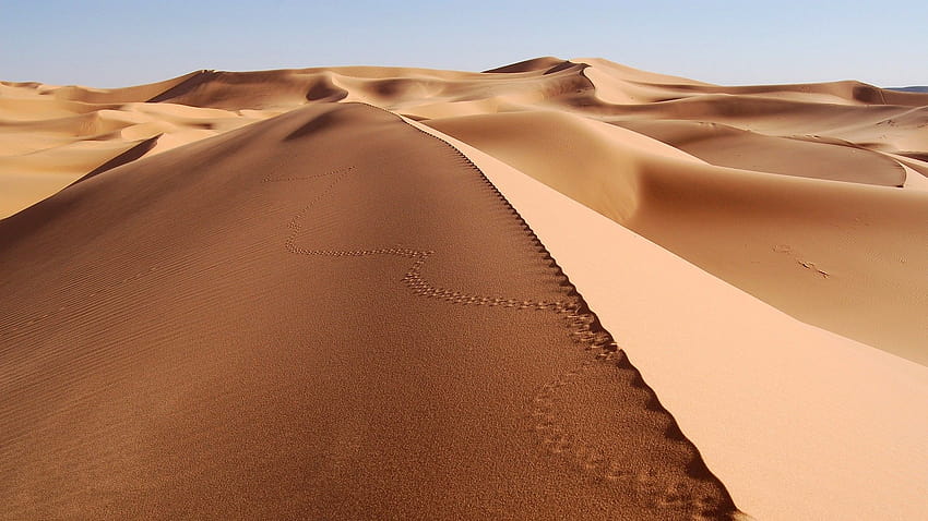 awesome Desert Sand Backgrounds, egypt map sahara desert HD wallpaper